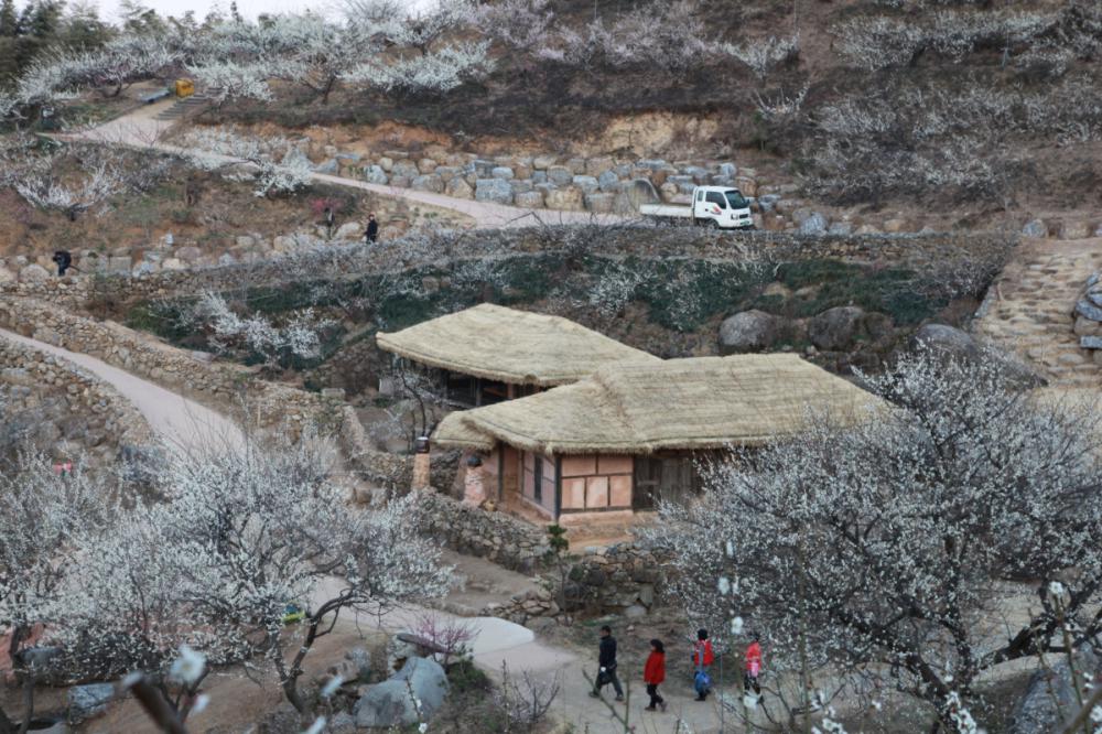 매화마을의 자동차 - 전체 - 자동차 중고차 커뮤니티 카앤포토